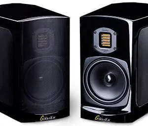 A pair of the Golden Ear bookshelf speakers in a plain background